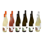 Jungweinverkostung fruchtig für Zuhause
